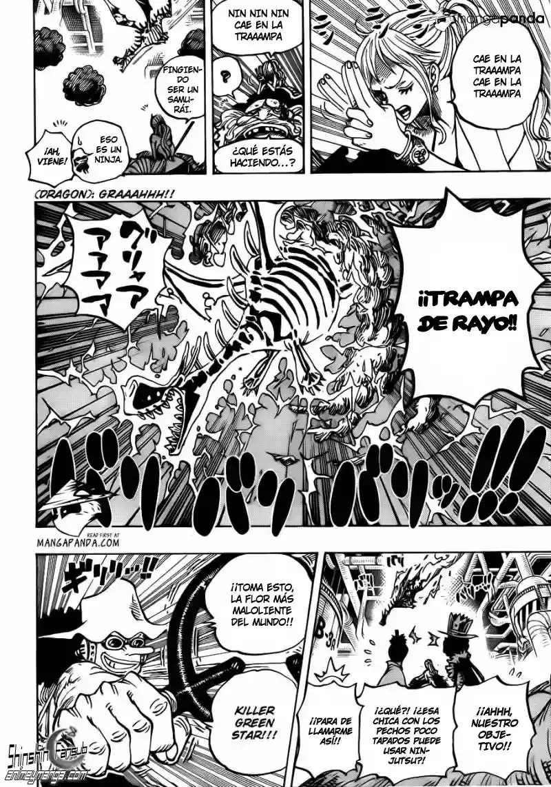 One Piece Capitulo 682 página 13
