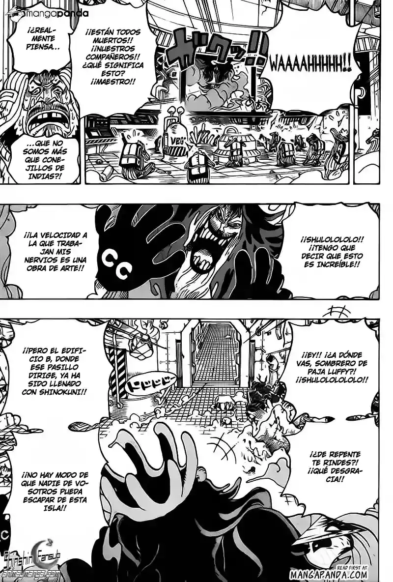 One Piece Capitulo 691 página 12