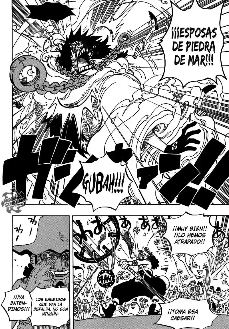 One Piece Capitulo 695 página 17