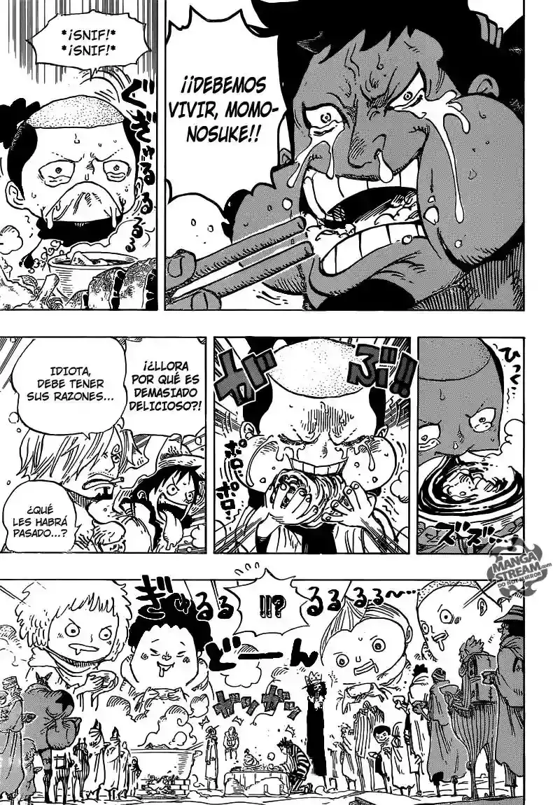 One Piece Capitulo 696 página 16