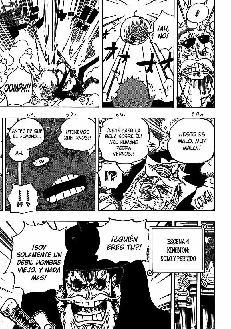 One Piece Capitulo 705 página 14
