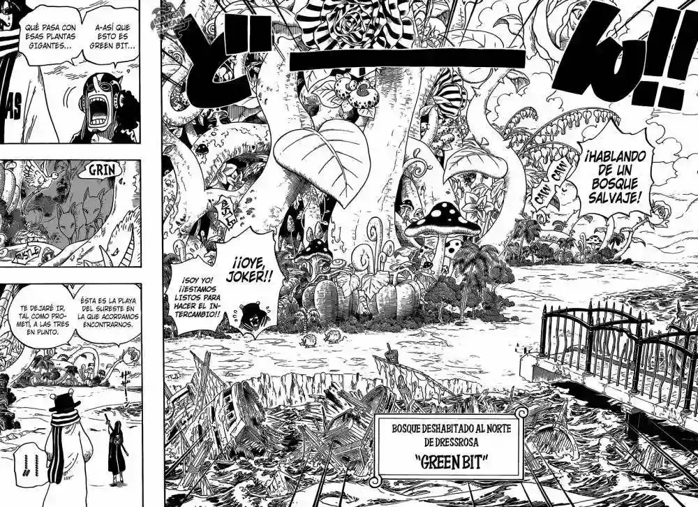 One Piece Capitulo 710 página 13