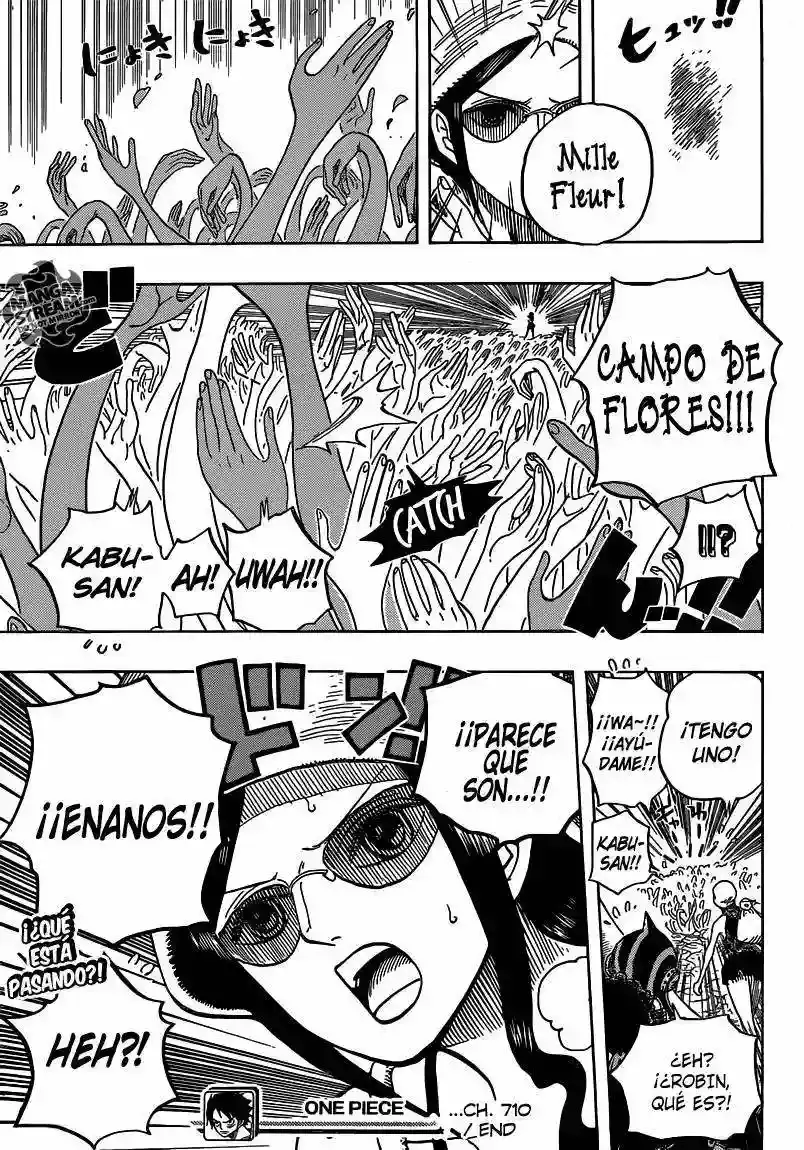 One Piece Capitulo 710 página 19