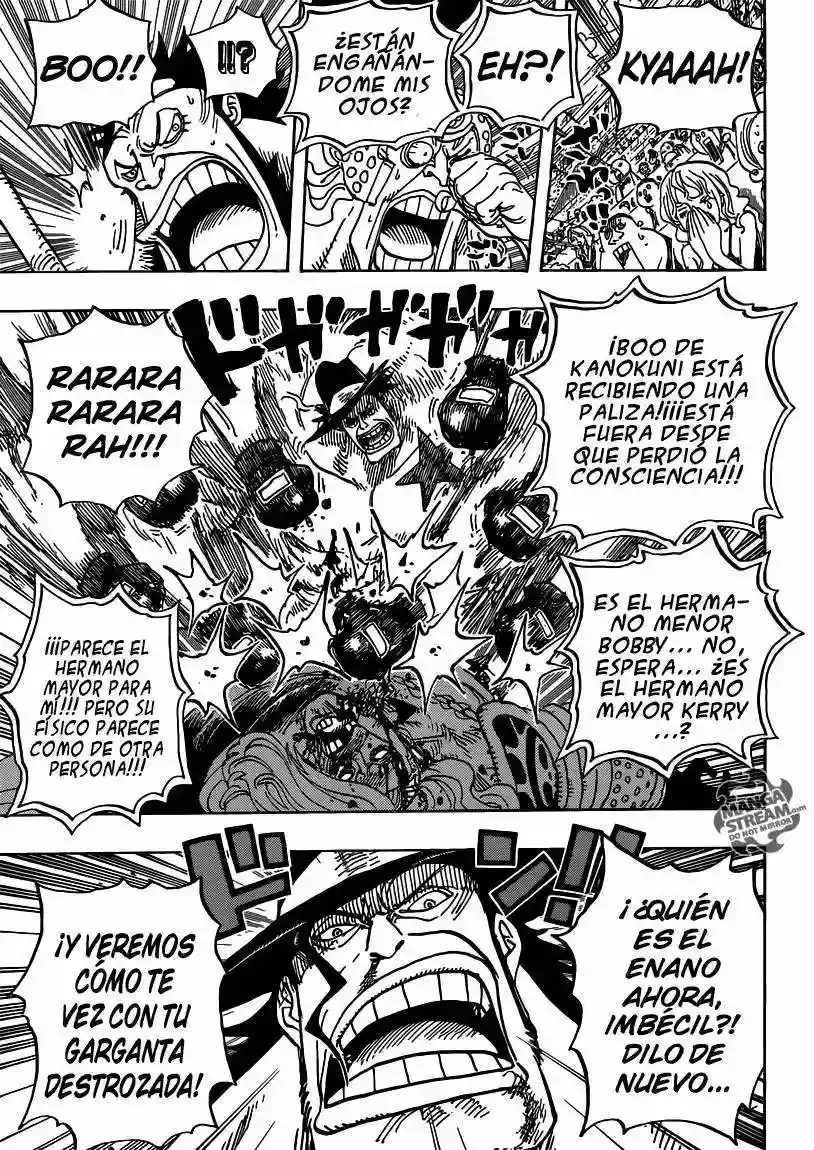 One Piece Capitulo 715 página 15