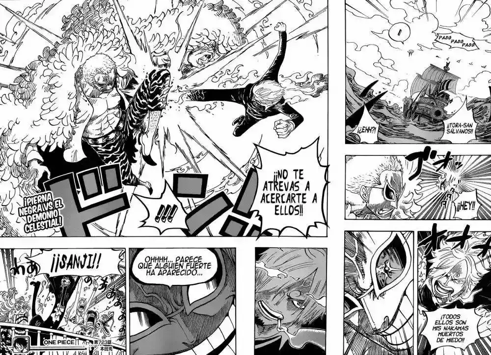 One Piece Capitulo 723 página 19