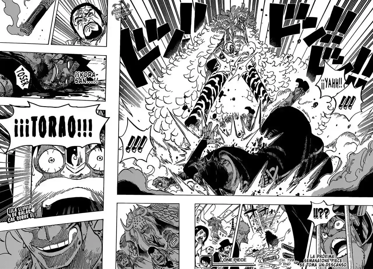 One Piece Capitulo 729 página 17