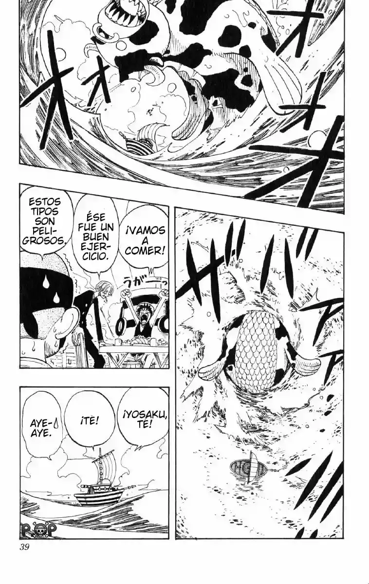 One Piece Capitulo 73 página 13