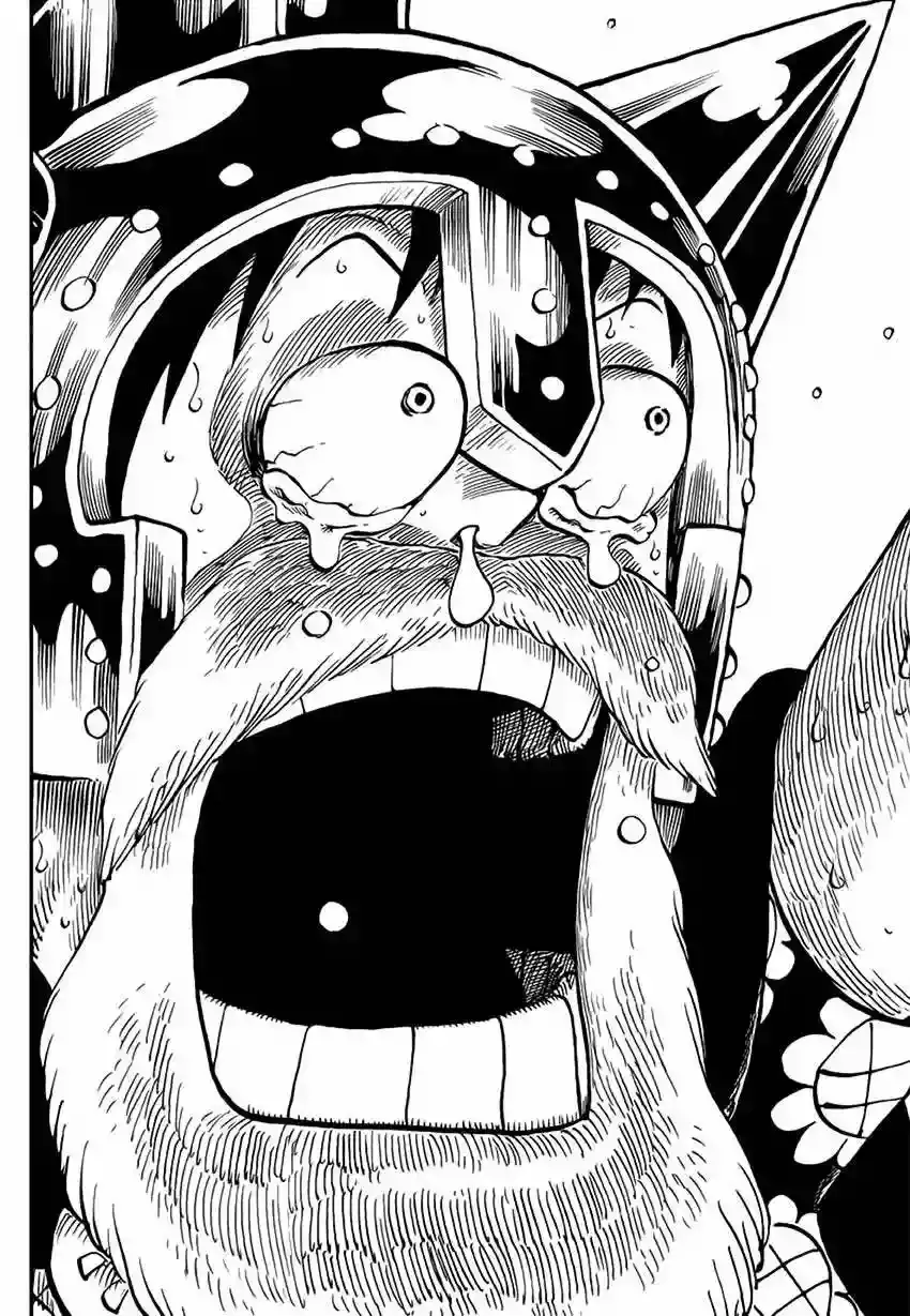 One Piece Capitulo 731 página 17