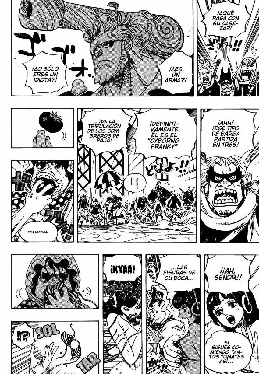 One Piece Capitulo 732 página 7