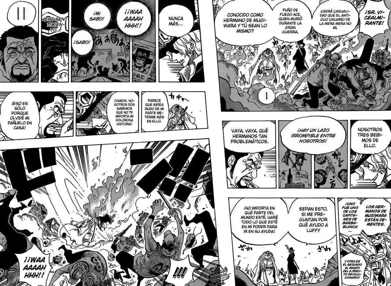 One Piece Capitulo 751: capitulo 751 página 9