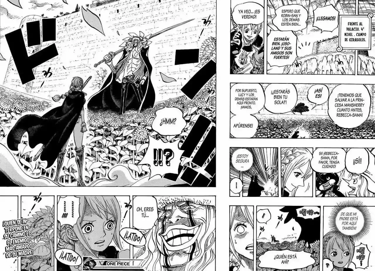 One Piece Capitulo 756: capitulo 756 página 18