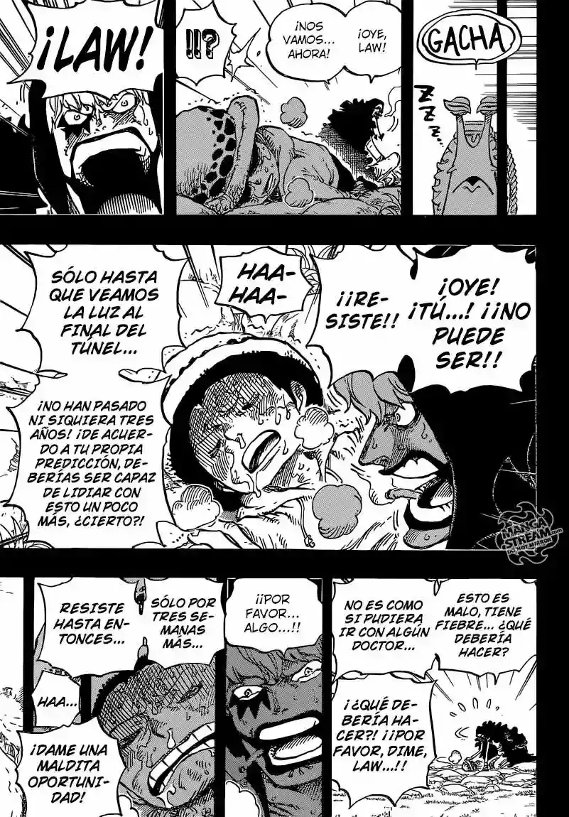 One Piece Capitulo 765: OP 765 página 10