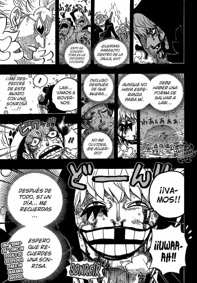 One Piece Capitulo 766: ONE PIECE 766 página 17