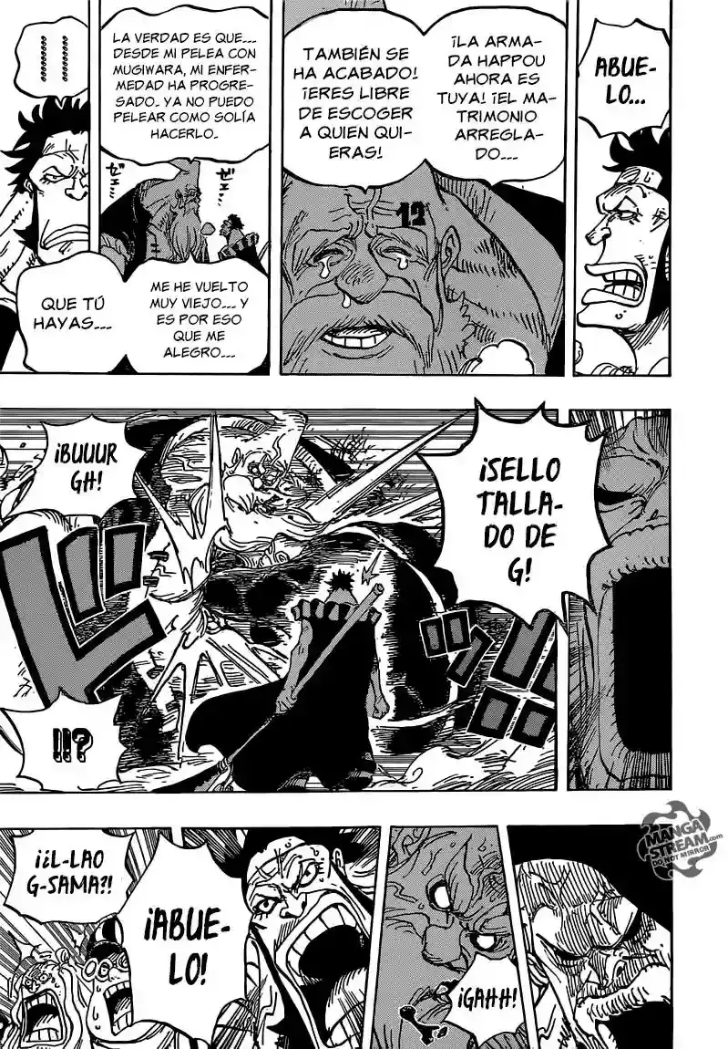 One Piece Capitulo 771: ONE PIECE 771 página 17