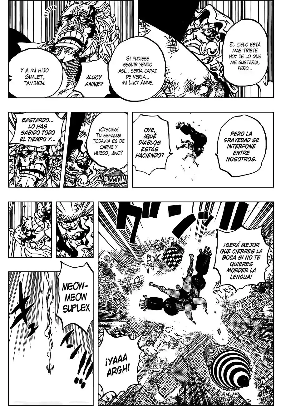 One Piece Capitulo 775 página 11