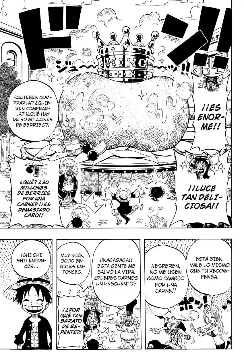 One Piece Capitulo 776.05 página 17