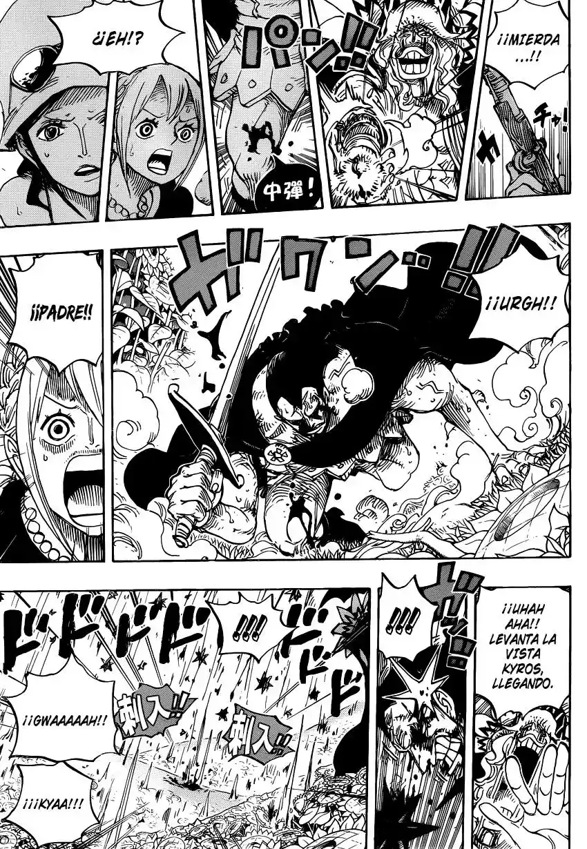 One Piece Capitulo 776: Hero Del Coliseo página 11