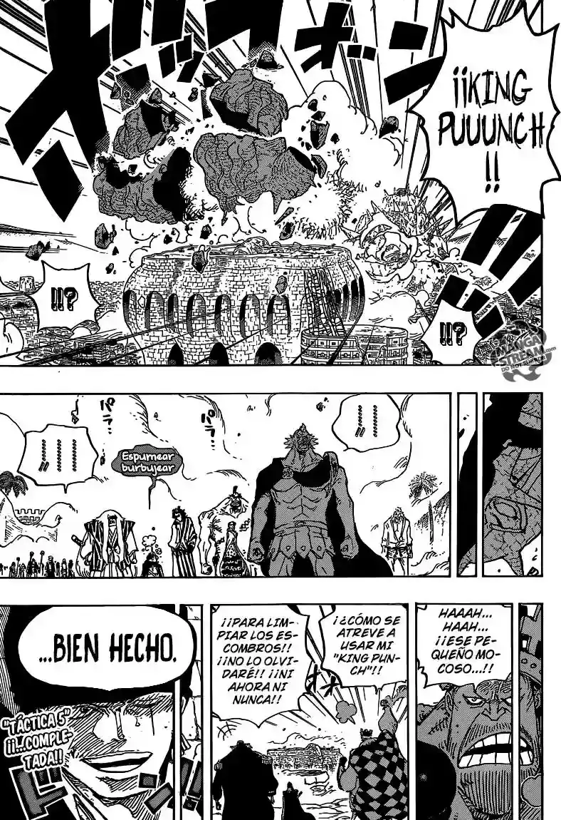 One Piece Capitulo 778 página 15