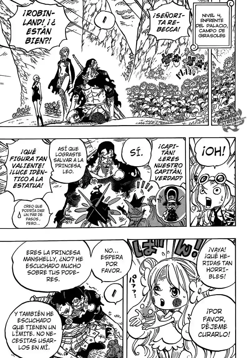 One Piece Capitulo 779 página 8