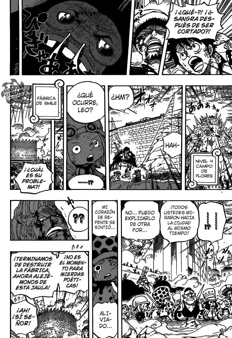 One Piece Capitulo 782 página 17