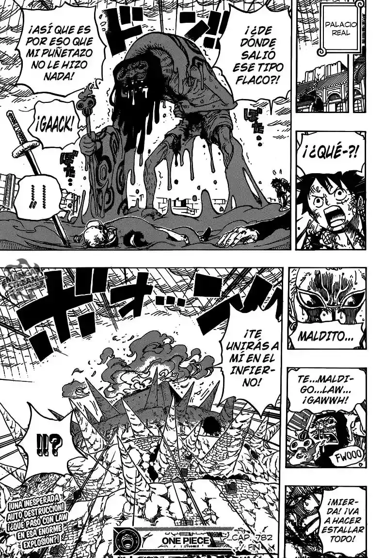 One Piece Capitulo 782 página 18