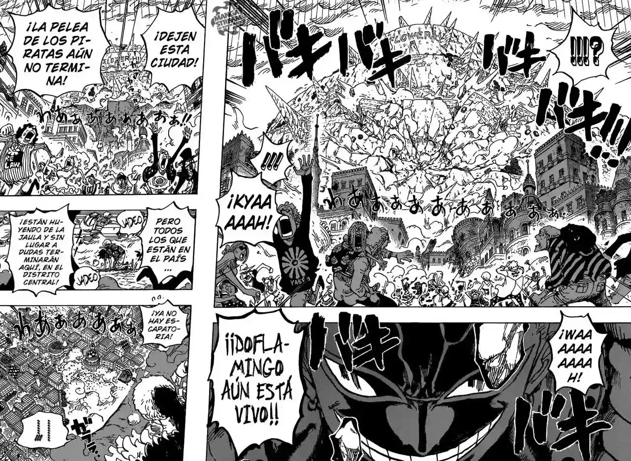 One Piece Capitulo 786: Gatz página 11