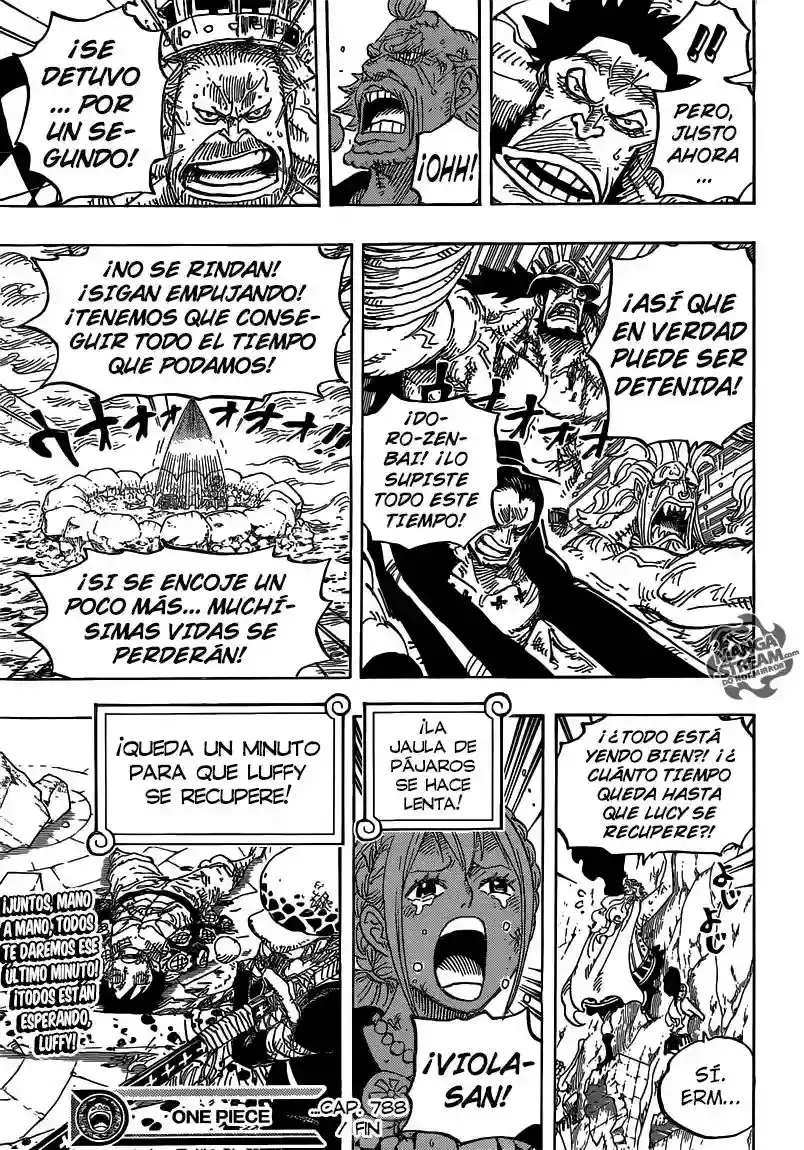 One Piece Capitulo 788: Mi Batalla página 17