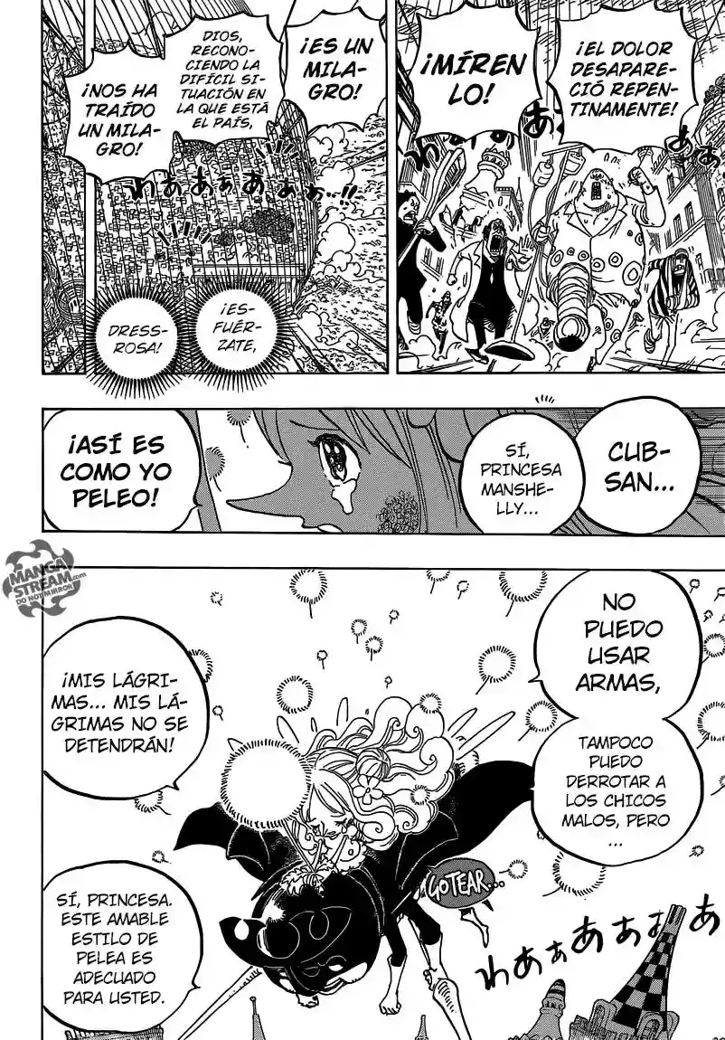 One Piece Capitulo 788: Mi Batalla página 9
