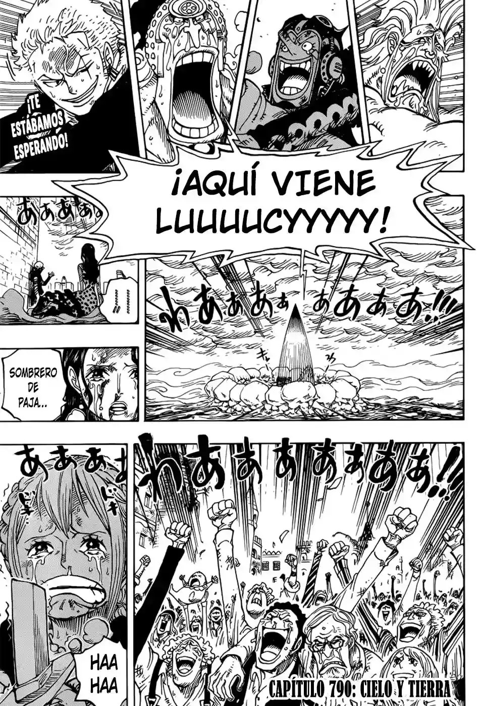 One Piece Capitulo 790 página 4