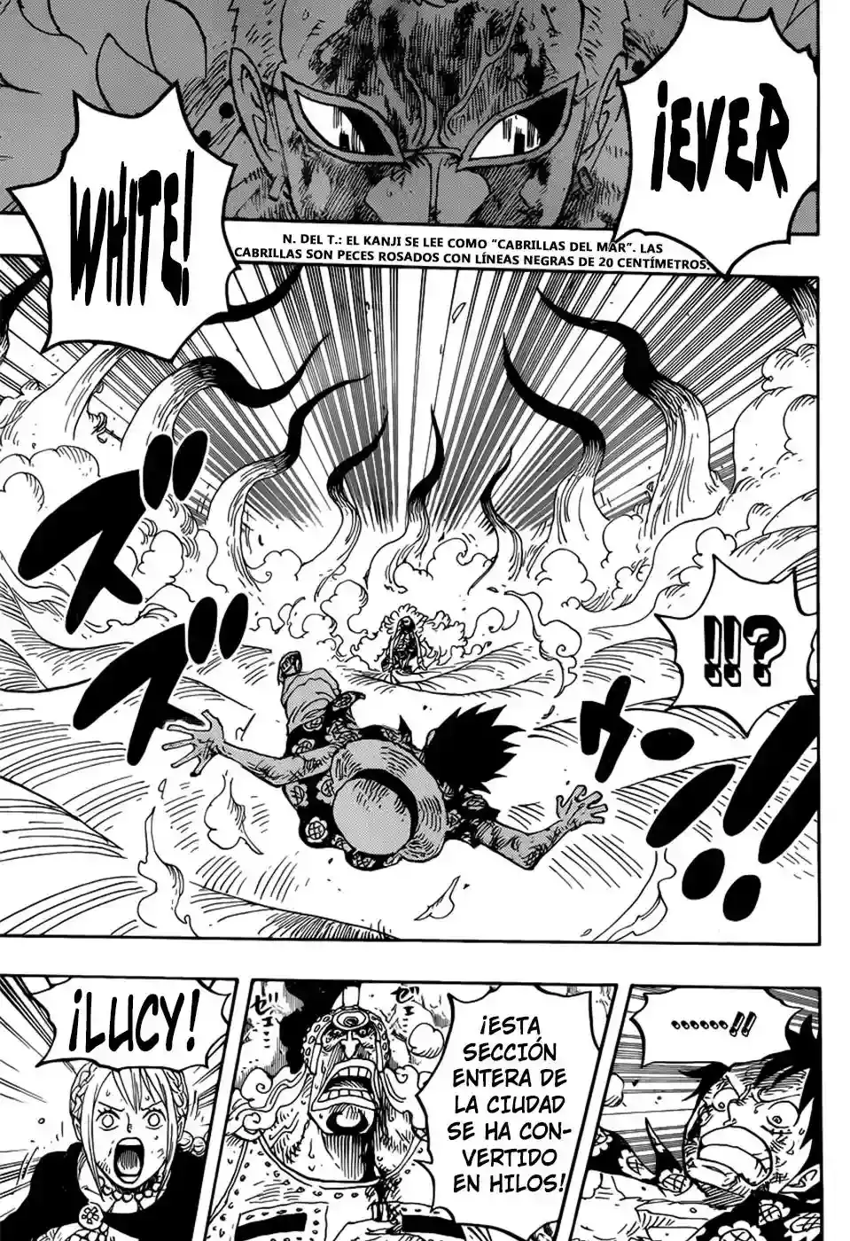 One Piece Capitulo 790 página 8