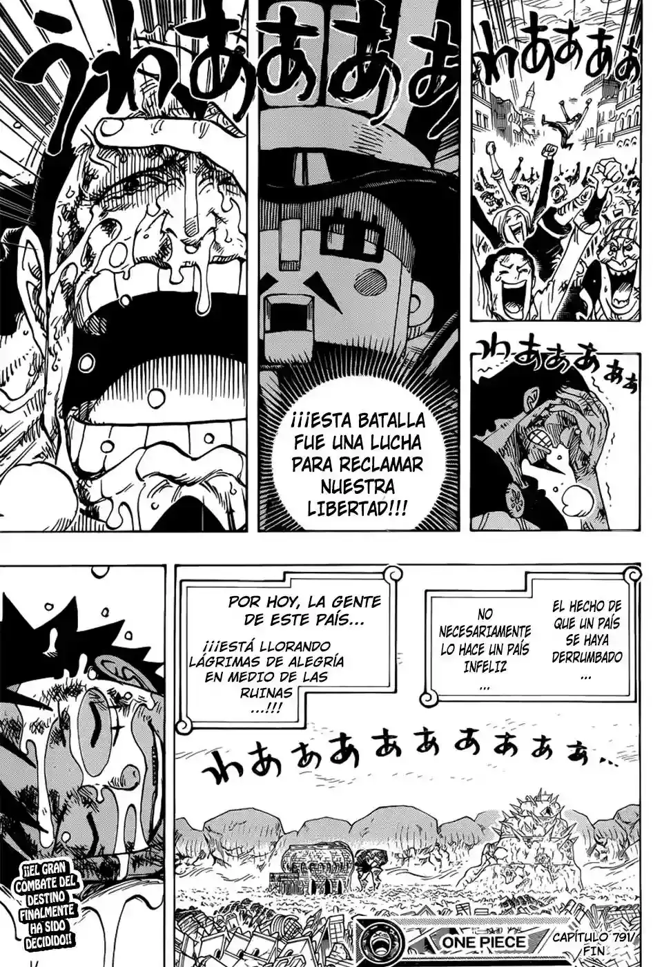 One Piece Capitulo 791 página 16