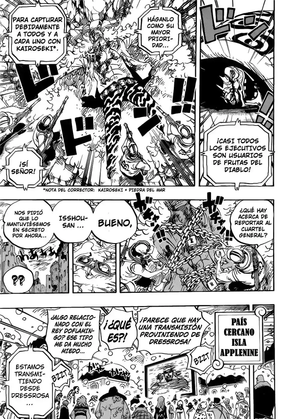 One Piece Capitulo 792 página 10