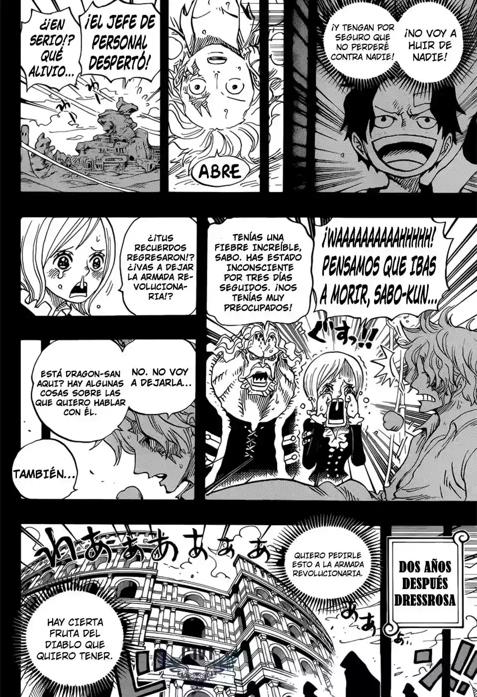 One Piece Capitulo 794 página 11