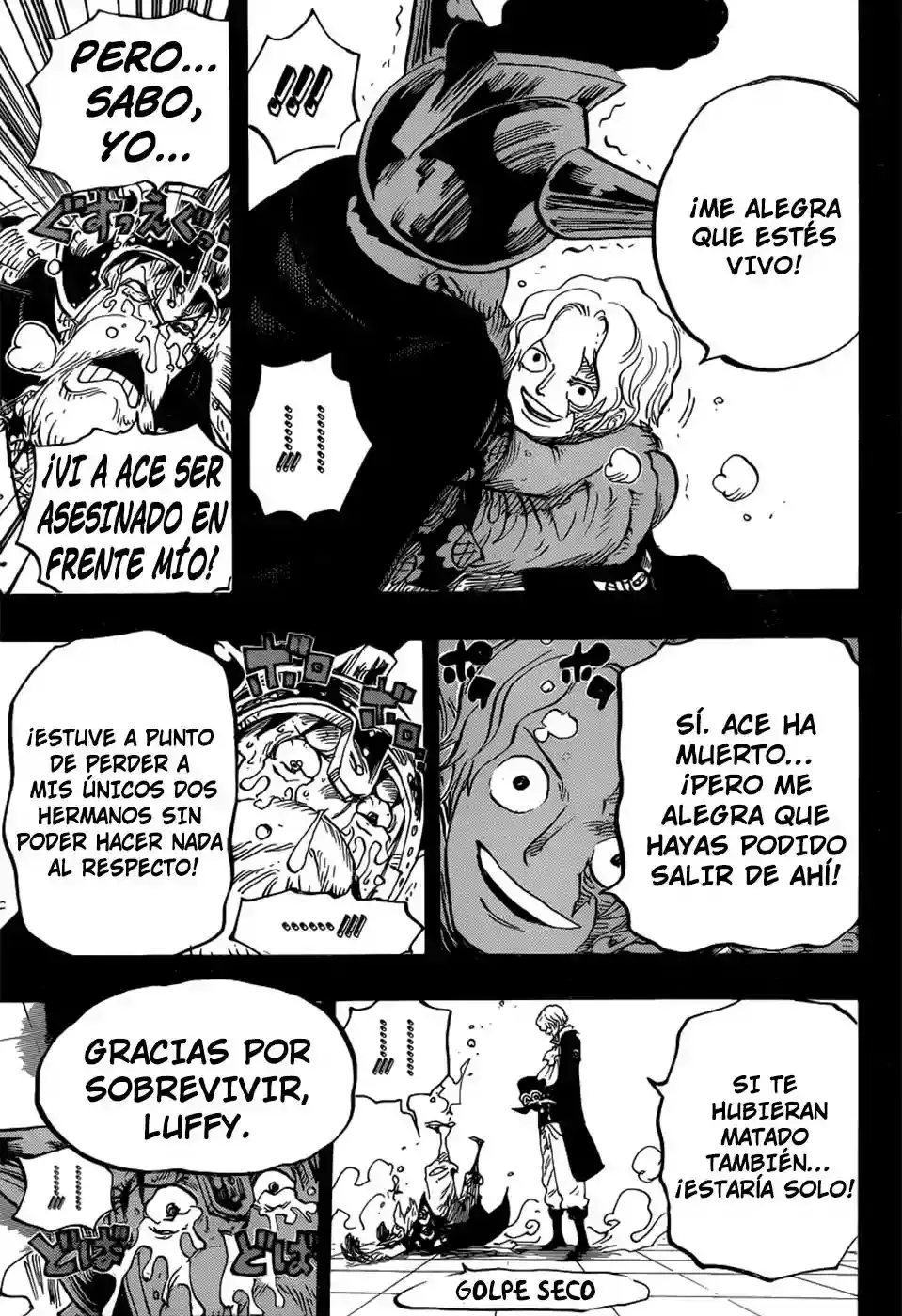 One Piece Capitulo 794 página 14