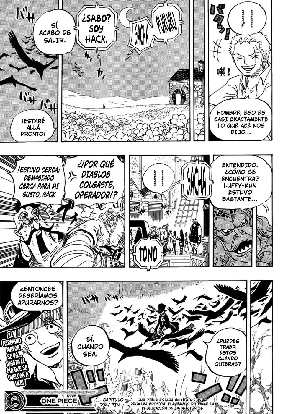 One Piece Capitulo 794 página 16