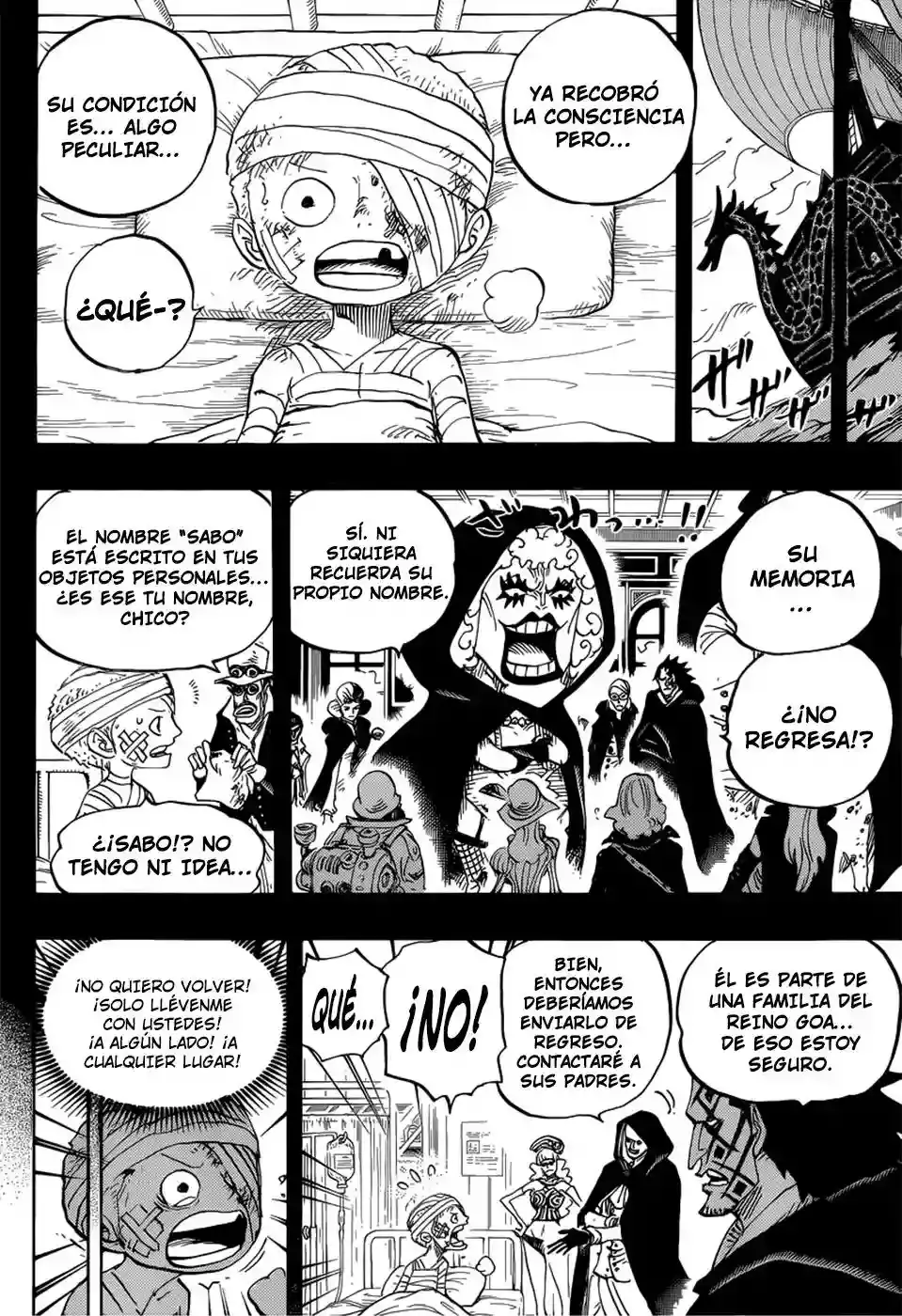 One Piece Capitulo 794 página 7