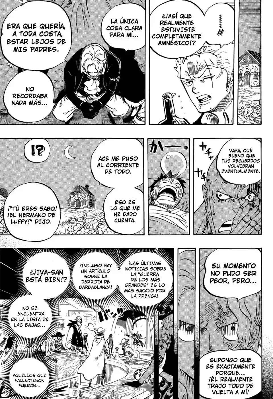 One Piece Capitulo 794 página 8