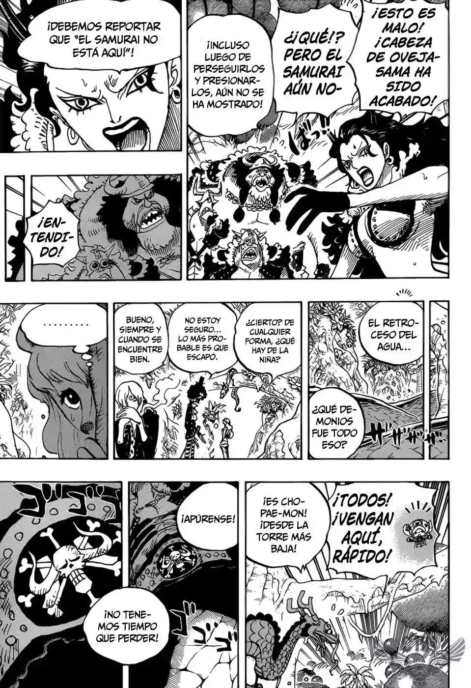 One Piece Capitulo 795: Suicidio página 10