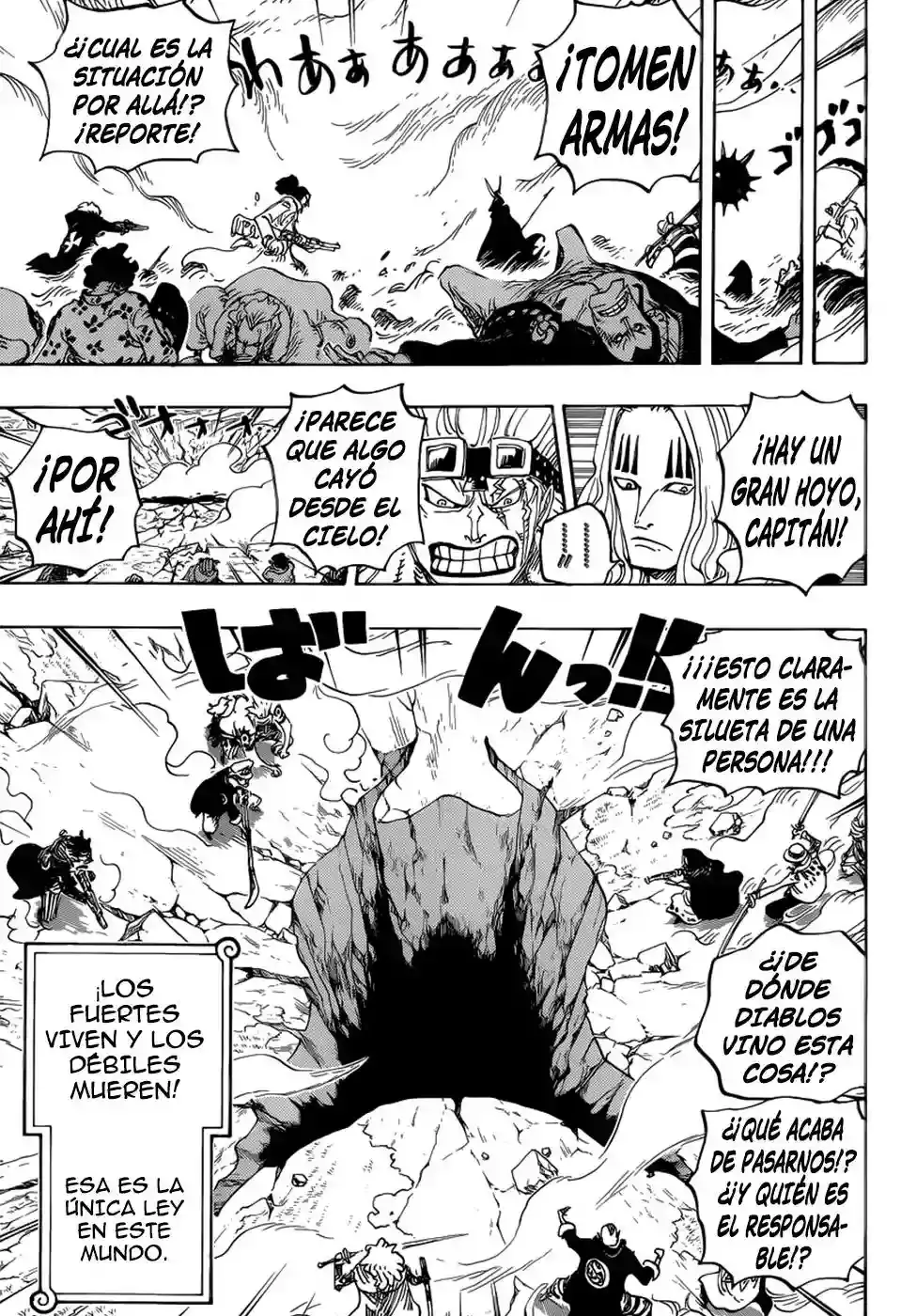 One Piece Capitulo 795: Suicidio página 12