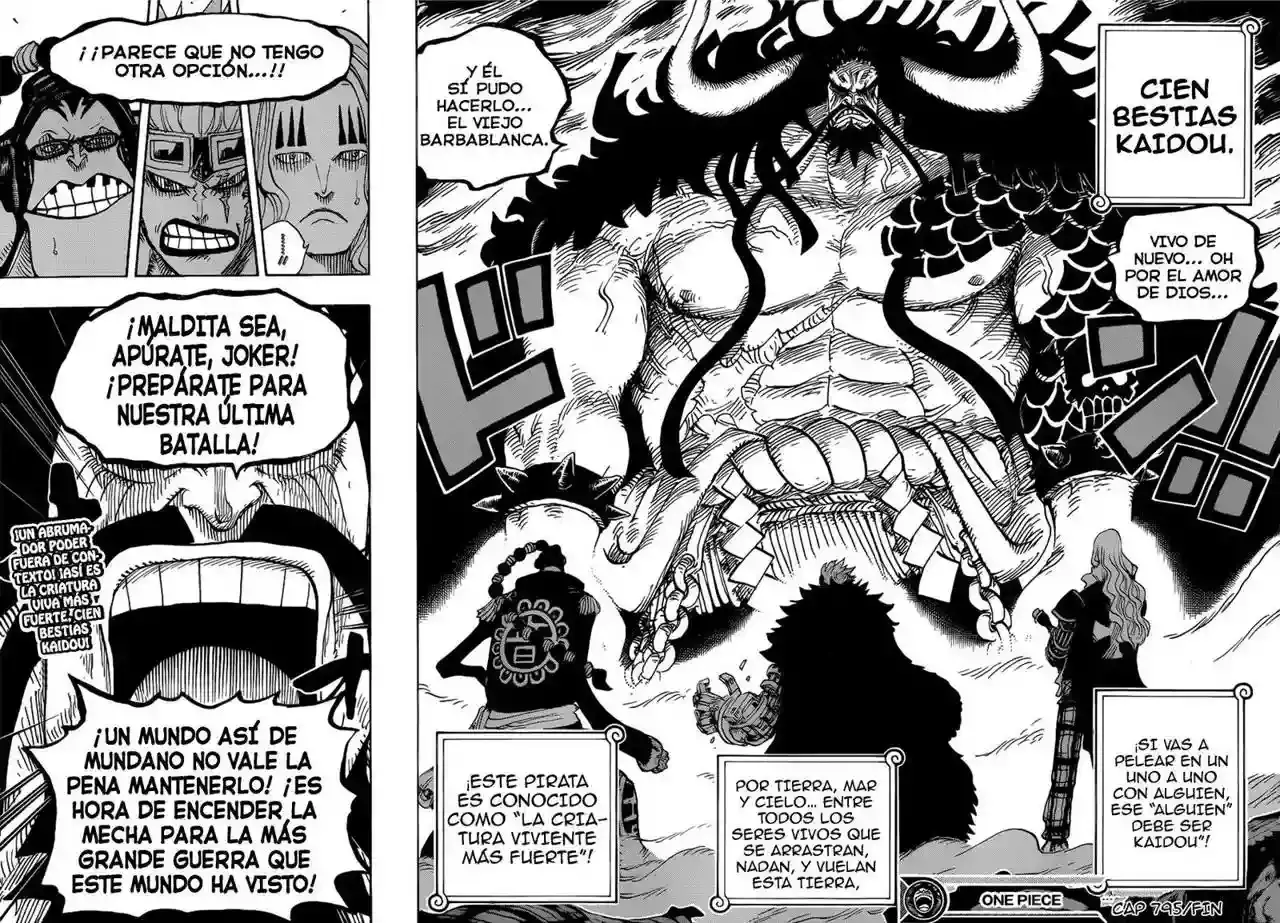 One Piece Capitulo 795: Suicidio página 17