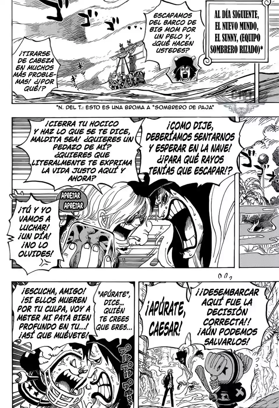One Piece Capitulo 795: Suicidio página 5