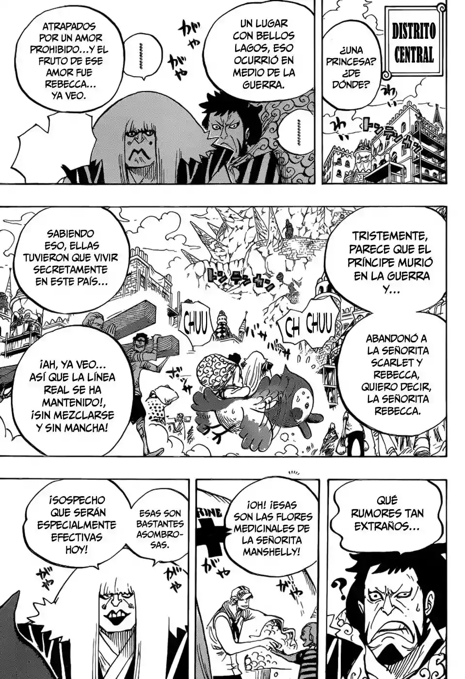 One Piece Capitulo 796: La decisión del soldado página 10
