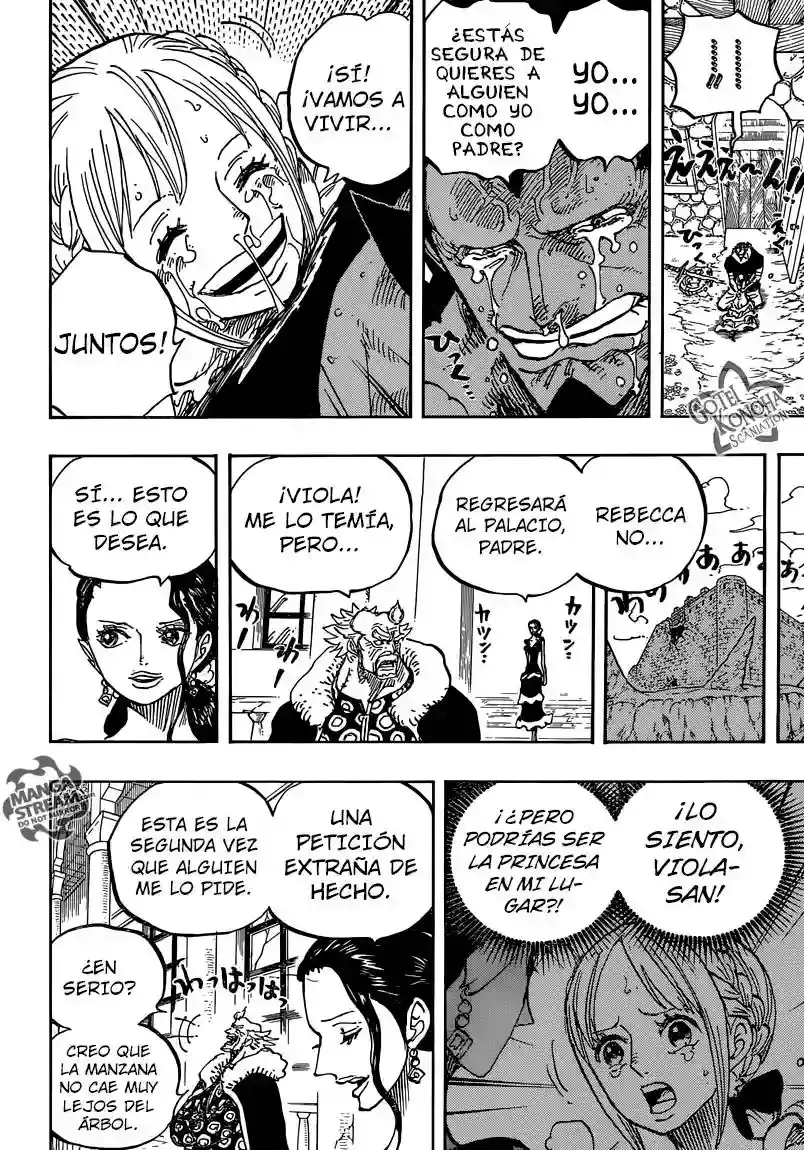 One Piece Capitulo 797: Rebecca página 17
