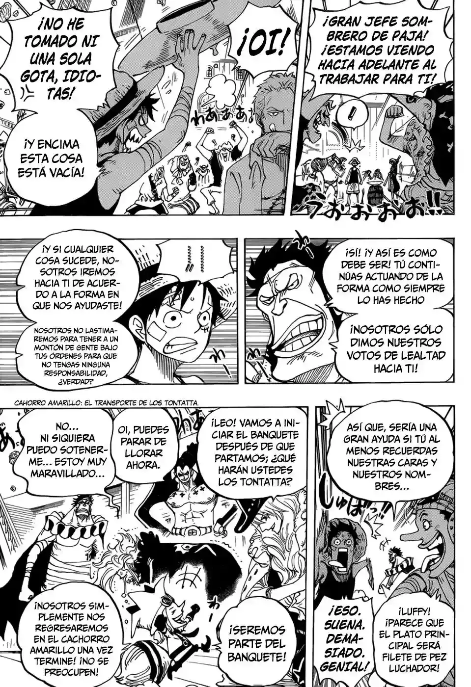 One Piece Capitulo 800 página 12