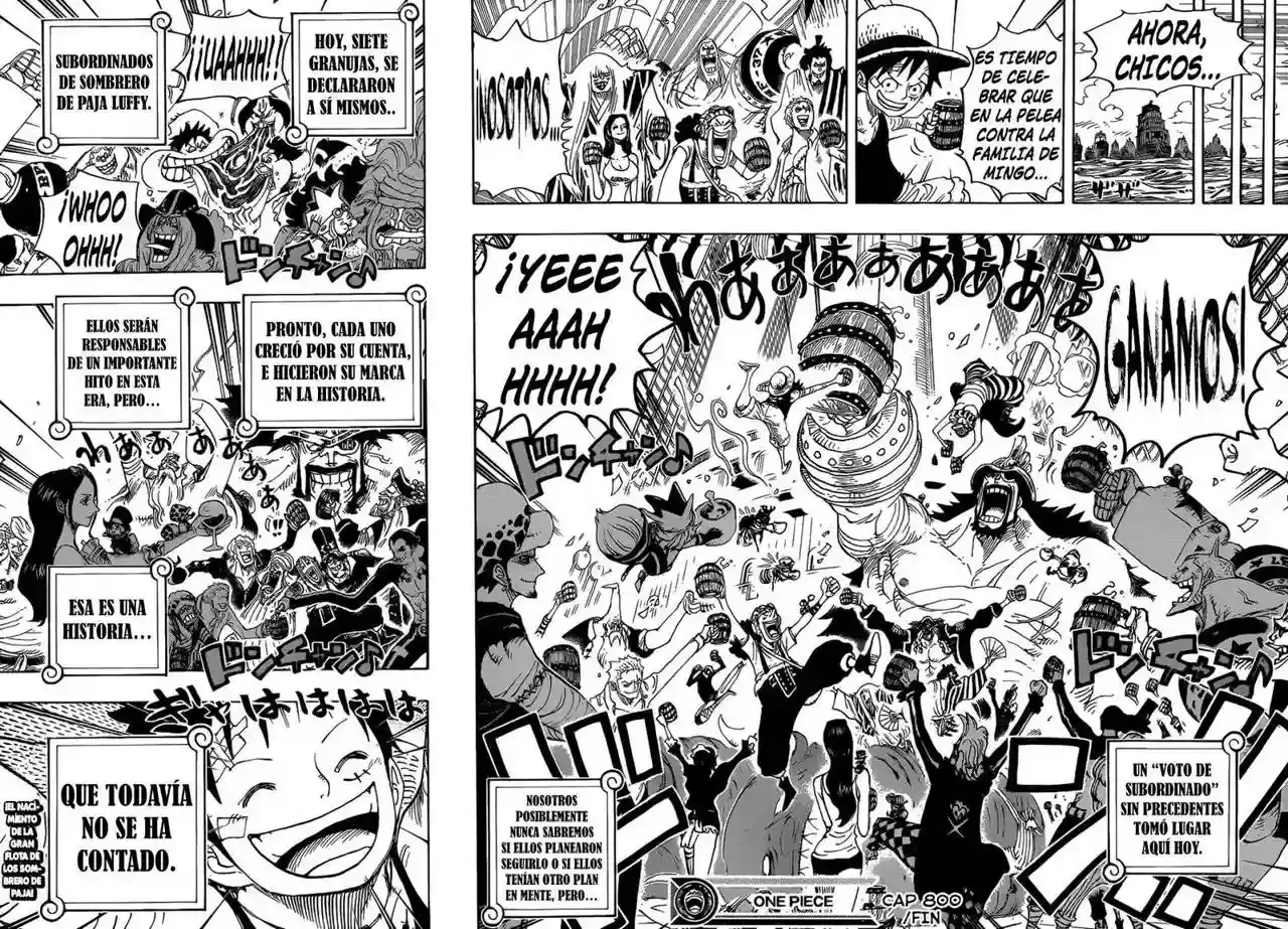 One Piece Capitulo 800 página 14
