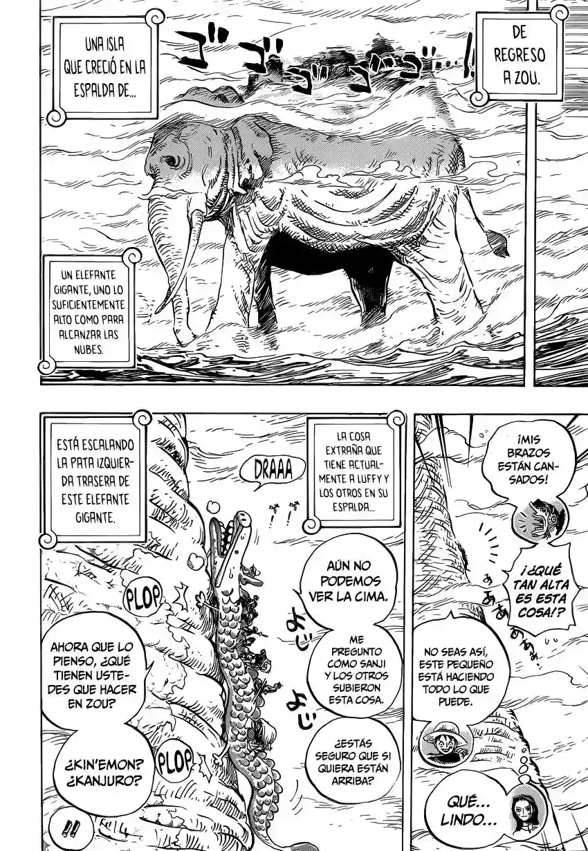 One Piece Capitulo 803: Escalando el elefante página 13
