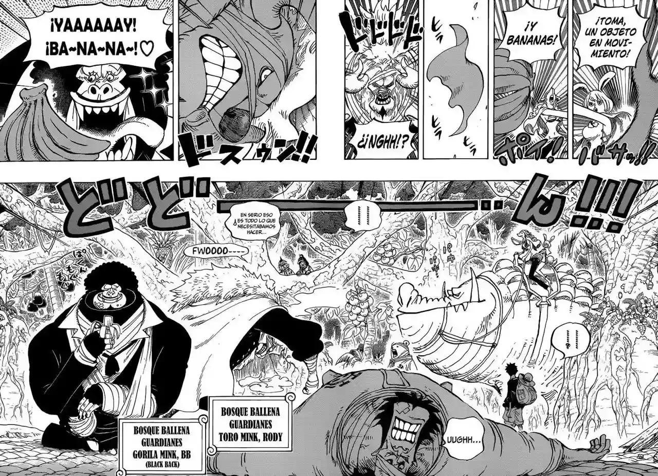 One Piece Capitulo 805 página 11