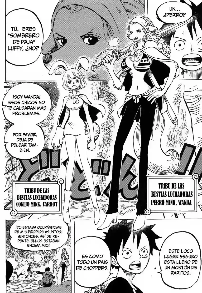 One Piece Capitulo 805 página 12