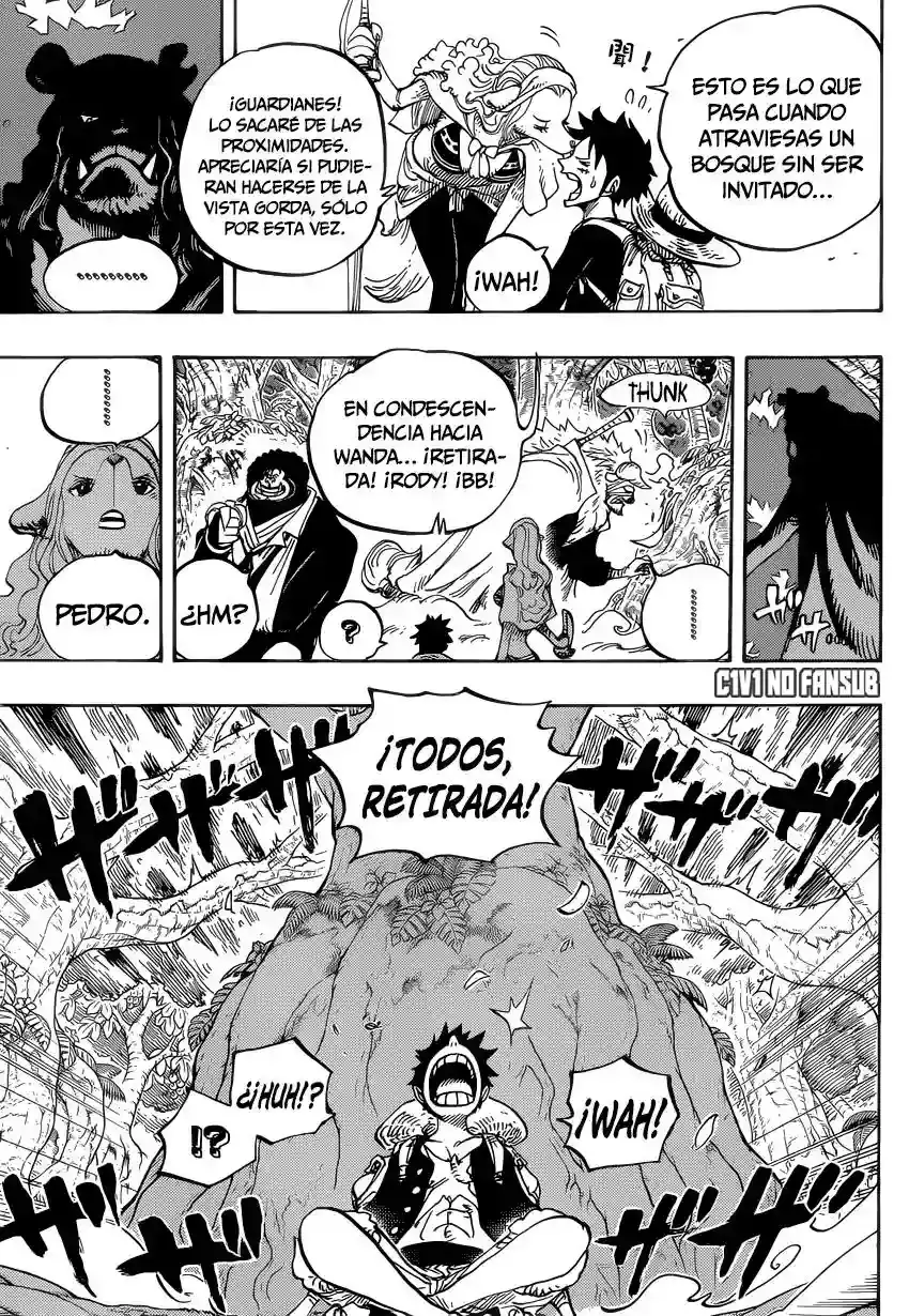 One Piece Capitulo 805 página 13