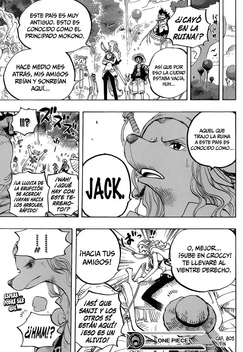 One Piece Capitulo 805 página 17